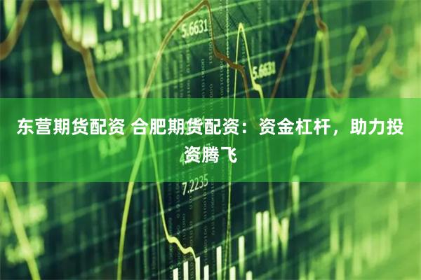 东营期货配资 合肥期货配资：资金杠杆，助力投资腾飞