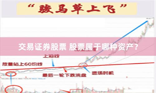 交易证券股票 股票属于哪种资产？